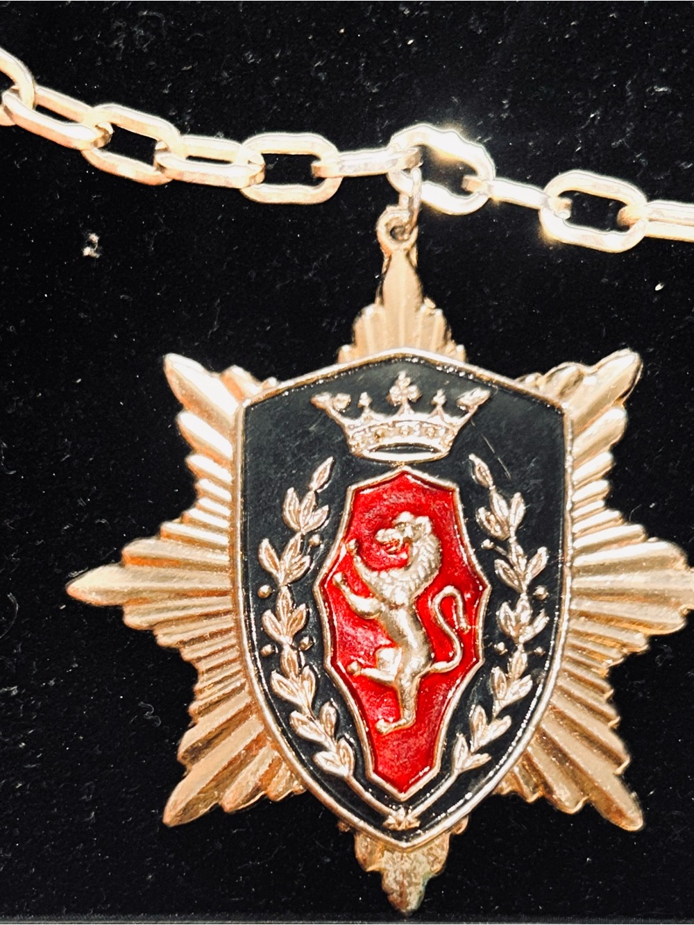 Vintage Crest Shield Emblem Lion Pendant 20” Gold Tone Chain & Matching Brooch